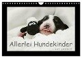 Allerlei Hundekinder (Wandkalender 2024 DIN A4 quer), CALVENDO Monatskalender - Kathrin Köntopp