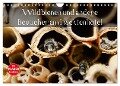 Wildbienen und andere Besucher am Insektenhotel (Wandkalender 2024 DIN A4 quer), CALVENDO Monatskalender - Anja Frost