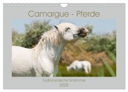 Camargue-Pferde - Südfranzösische Schimmel (Wandkalender 2025 DIN A4 quer), CALVENDO Monatskalender - Meike Bölts