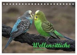Cover-Bild zum Titel 'Terminplaner Wellensittiche (Tischkalender 2026 DIN A5 quer), CALVENDO Monatskalender' von 'Antje Lindert-Rottke'