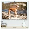 Mit dem Windhund unterwegs im zauberhaften Bergischen Land (hochwertiger Premium Wandkalender 2025 DIN A2 quer), Kunstdruck in Hochglanz - Meike Bölts