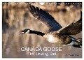 CANADA GOOSE / UK-Version (Wall Calendar 2025 DIN A4 landscape), CALVENDO 12 Month Wall Calendar - Philippe Henry