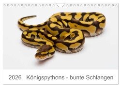 Königspythons - bunte Schlangen (Wandkalender 2026 DIN A4 quer), CALVENDO Monatskalender - Werner Lang
