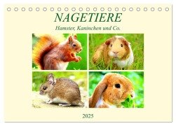 Nagetiere. Hamster, Kaninchen und Co. (Tischkalender 2025 DIN A5 quer), CALVENDO Monatskalender - Rose Hurley