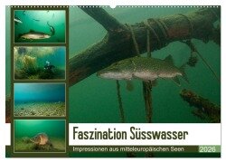 Faszination Süsswasser (Wandkalender 2026 DIN A2 quer), CALVENDO Monatskalender - Sven Gruse