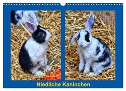 Niedliche Kaninchen (Wandkalender 2025 DIN A3 quer), CALVENDO Monatskalender - Kattobello Kattobello
