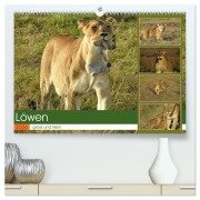 Löwen - gross und klein (hochwertiger Premium Wandkalender 2026 DIN A2 quer), Kunstdruck in Hochglanz - Susan Michel