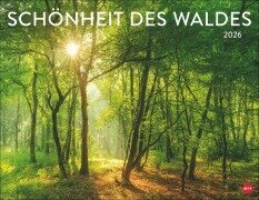 Schönheit des Waldes Posterkalender 2026 - 