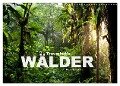 Traumhafte Wälder (Wandkalender 2024 DIN A3 quer), CALVENDO Monatskalender - Peter Schickert