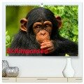 Schimpansen (hochwertiger Premium Wandkalender 2024 DIN A2 quer), Kunstdruck in Hochglanz - Elisabeth Stanzer