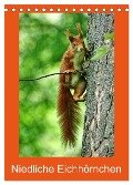 Niedliche Eichhörnchen (Tischkalender 2024 DIN A5 hoch), CALVENDO Monatskalender - Kattobello Kattobello
