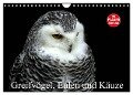 Greifvögel, Eulen und Käuze (Wandkalender 2024 DIN A4 quer), CALVENDO Monatskalender - Arno Klatt