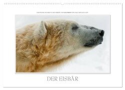 Emotionale Momente: Der Eisbär. (Wandkalender 2025 DIN A2 quer), CALVENDO Monatskalender - Ingo Gerlach GDT