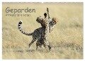 Geparden - Afrikas grazile Katzen (Wandkalender 2024 DIN A2 quer), CALVENDO Monatskalender - Thorsten Jürs