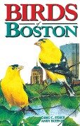 Birds of Boston - Chris Fisher, Andy Bezener