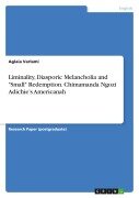 Cover-Bild zum Titel 'Liminality, Diasporic Melancholia and "Small" Redemption. Chimamanda Ngozi Adichie's Americanah' von 'Aglaia Varlami'