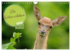 Die Natur erleben (Wandkalender 2025 DIN A4 quer), CALVENDO Monatskalender - Jürg Plattner