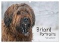 Briard Portraits (Wandkalender 2024 DIN A3 quer), CALVENDO Monatskalender - Georg Stelzner