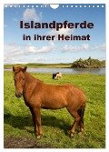 Islandpferde in ihrer Heimat (Wandkalender 2024 DIN A4 hoch), CALVENDO Monatskalender - Winfried Rusch