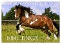 Irish Tinker (Tischkalender 2024 DIN A5 quer), CALVENDO Monatskalender - Gabriela Wejat-Zaretzke