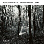 Cover-Bild zum Titel 'Brahms: Streichquartette, Op. 51' von 'Zehetmair Quartett'