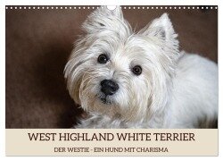 WEST HIGHLAND WHITE TERRIER - DER WESTIE - EIN HUND MIT CHARISMA (Wandkalender 2025 DIN A3 quer), CALVENDO Monatskalender - Angela Rohde