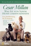 Was Sie von Ihrem Hund lernen können - Cesar Millan