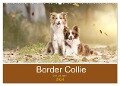 Border Collie - Bunt und clever! (Wandkalender 2024 DIN A2 quer), CALVENDO Monatskalender - Andrea Mayer Tierfotografie