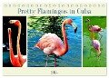Pretty Flamingos in Cuba (Tischkalender 2024 DIN A5 quer), CALVENDO Monatskalender - Henning von Löwis of Menar