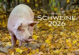Cover-Bild zum Titel 'Schweine Kalender 2026' von 'J. -L. Klein, M. -L. Hubert'