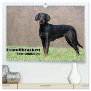 Cover-Bild zum Titel 'Der Brandlbracken-Terminplaner (hochwertiger Premium Wandkalender 2026 DIN A2 quer), Kunstdruck in Hochglanz' von 'Antje Lindert-Rottke'