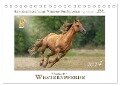 Faszination Westernpferde (Tischkalender 2024 DIN A5 quer), CALVENDO Monatskalender - Martina Wrede - Wredefotografie