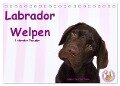 Labrador Welpen - Labrador Puppies (Tischkalender 2024 DIN A5 quer), CALVENDO Monatskalender - Jeanette Hutfluss