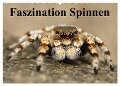 Faszination Spinnen (Wandkalender 2024 DIN A2 quer), CALVENDO Monatskalender - Elisabeth Stanzer
