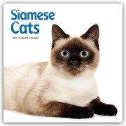 Cover-Bild zum Titel 'Siamese Cats - Siamesische Katzen - Siamkatzen 2026 - Wand-Kalender' von 'Carousel Calendar'