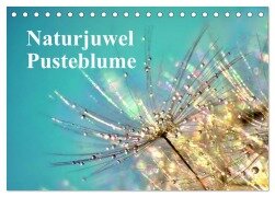 Cover-Bild zum Titel 'Naturjuwel Pusteblume (Tischkalender 2026 DIN A5 quer), CALVENDO Monatskalender' von 'Julia Delgado'