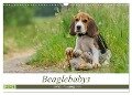 Beaglebabys auf Entdeckungstour (Wandkalender 2024 DIN A3 quer), CALVENDO Monatskalender - Sonja Teßen