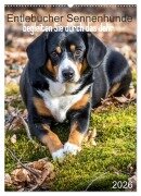 Cover-Bild zum Titel 'Entlebucher Sennenhunde begleiten Sie durch das Jahr (Wandkalender 2026 DIN A2 hoch), CALVENDO Monatskalender' von 'SchnelleWelten SchnelleWelten'