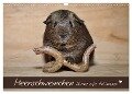 Meerschweinchen - Kleine süße Fellnasen (Wandkalender 2024 DIN A3 quer), CALVENDO Monatskalender - Petra Fischer