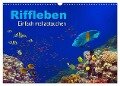 Riffleben - Einfach mal abtauchen (Wandkalender 2024 DIN A3 quer), CALVENDO Monatskalender - Tina Melz