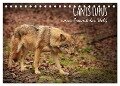 Canis Lupus - unser Freund der Wolf (Tischkalender 2024 DIN A5 quer), CALVENDO Monatskalender - Alexandra Hollstein