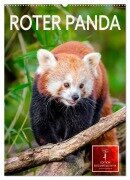 Cover-Bild zum Titel 'Roter Panda (Wandkalender 2026 DIN A2 hoch), CALVENDO Monatskalender' von 'Peter Roder'