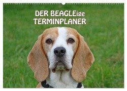 Cover-Bild zum Titel 'DER BEAGLEige TERMINPLANER (Wandkalender 2026 DIN A2 quer), CALVENDO Monatskalender' von 'Antje Lindert-Rottke'