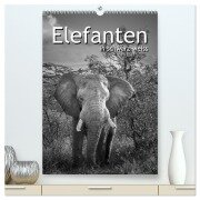 Elefanten in schwarz-weiss (hochwertiger Premium Wandkalender 2025 DIN A2 hoch), Kunstdruck in Hochglanz - Robert Styppa