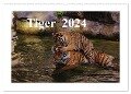 Tiger 2024 (Wandkalender 2024 DIN A2 quer), CALVENDO Monatskalender - Jörg Hennig