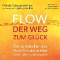Flow - der Weg zum Glück - Mihaly Csikszentmihalyi