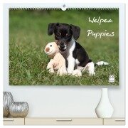 Cover-Bild zum Titel 'Welpen - Puppies (hochwertiger Premium Wandkalender 2026 DIN A2 quer), Kunstdruck in Hochglanz' von 'Jeanette Hutfluss'