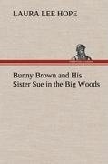 Bunny Brown and His Sister Sue in the Big Woods - Laura Lee Hope