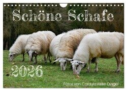 Schöne Schafe (Wandkalender 2026 DIN A4 quer), CALVENDO Monatskalender - Cordula Kelle-Dingel