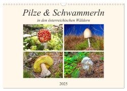 Pilze & Schwammerln (Wandkalender 2025 DIN A3 quer), CALVENDO Monatskalender - Christa Kramer
